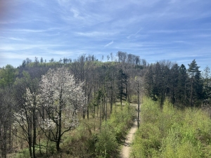 Rozhledna Panorama – Chlebovice